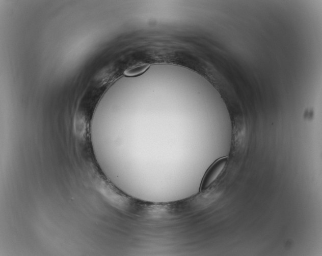 X0000111390574200907241336