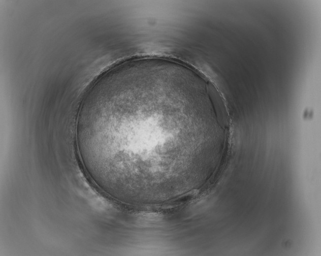 X0000111390577200907241336