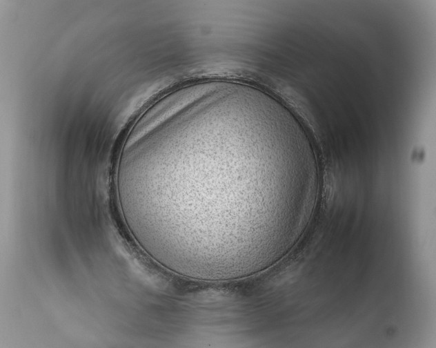 X0000111390578200907241336