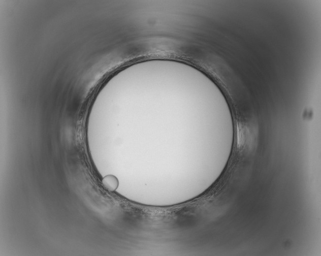 X0000111390579200907241336