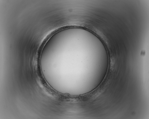 X0000111390580200907241336