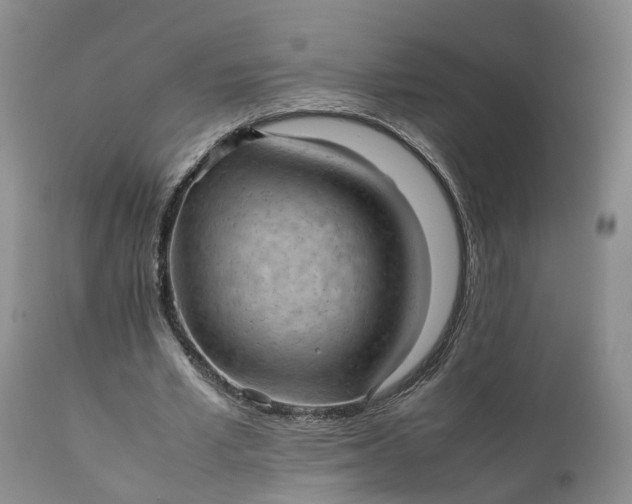 X0000111390581200907241336