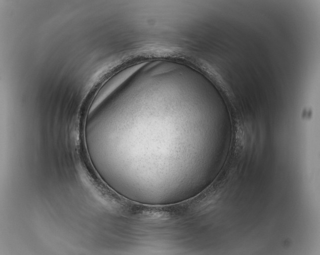 X0000111390582200907241336