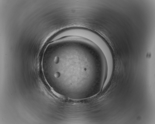 X0000111390584200907241336