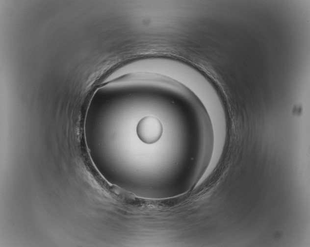 X0000111390585200907241335