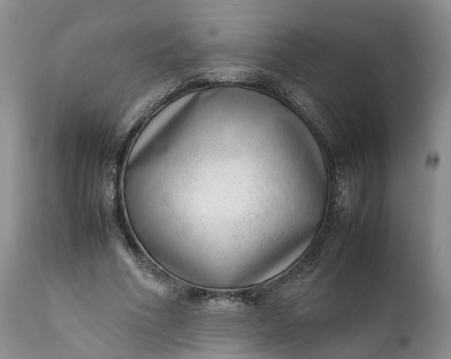 X0000111390586200907241335