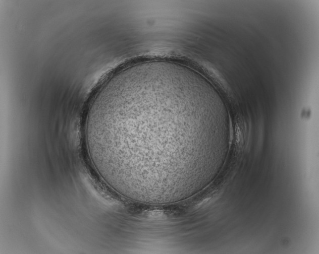 X0000111390588200907241335