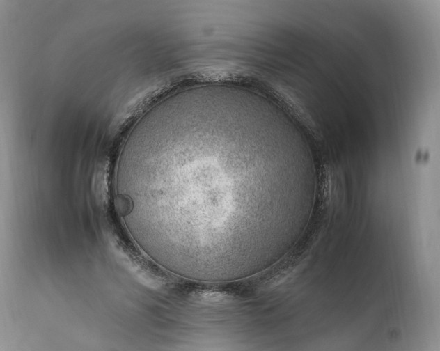 X0000111390590200907241335