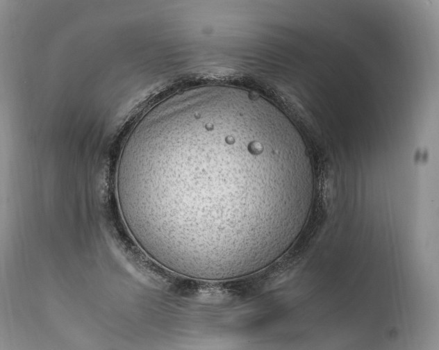 X0000111390591200907241335