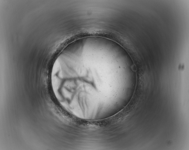 X0000111390592200907241335