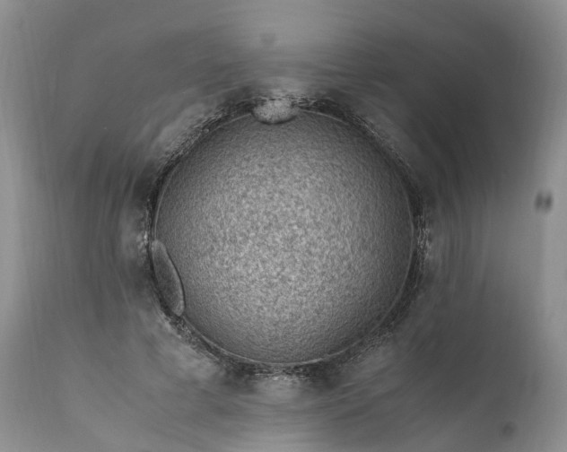 X0000111390593200907241335