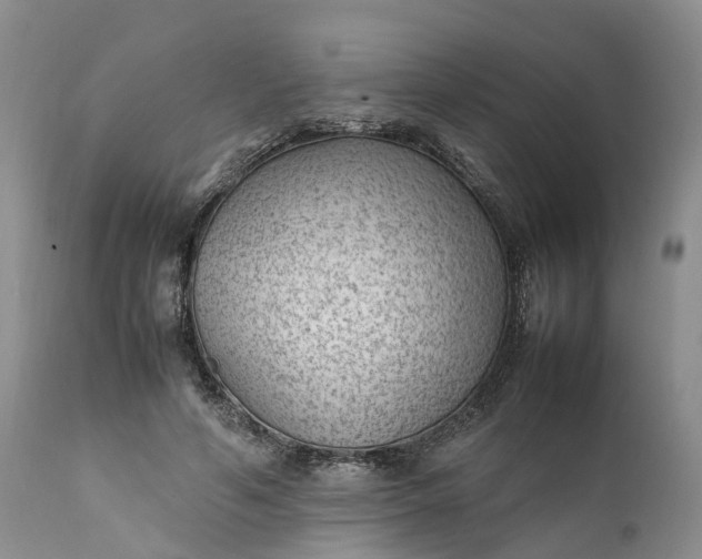 X0000111390594200907241335