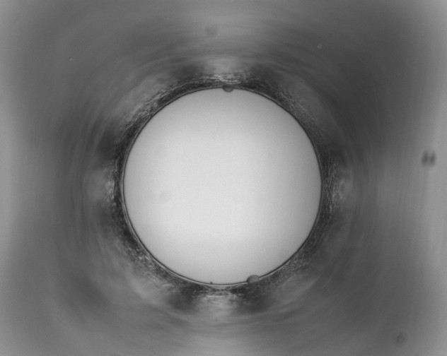 X0000111390595200907241335