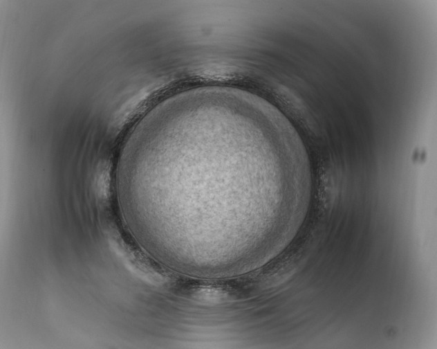 X0000111390596200907241335