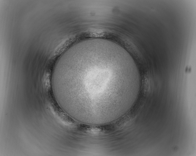 X0000111390598200907241335