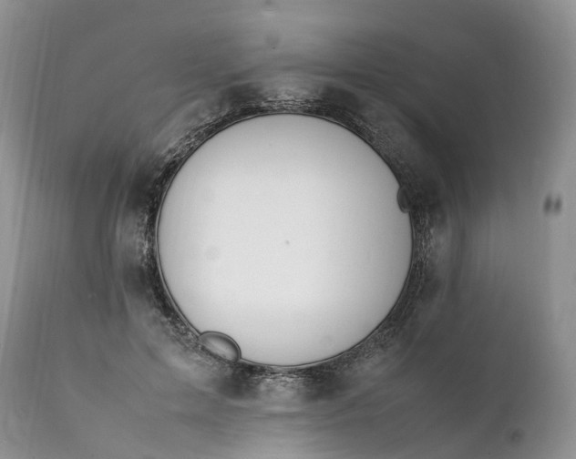 X0000111390599200907241335