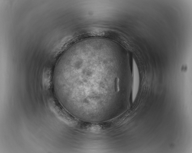 X0000111390600200907241335