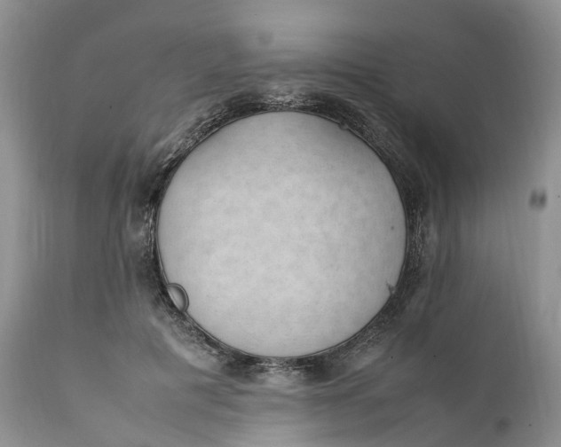 X0000111390601200907241335