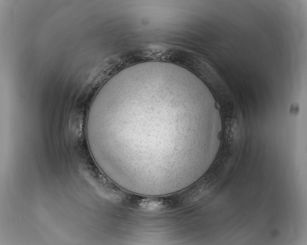 X0000111390602200907241335