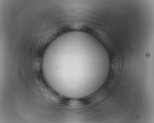 X0000111390605200907241335