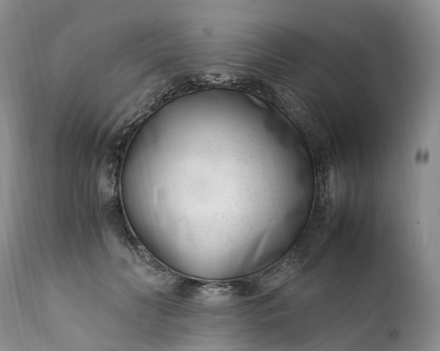 X0000111390606200907241335