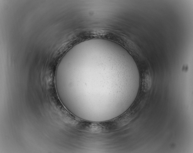 X0000111390608200907241335