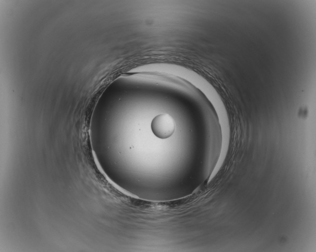 X0000111390609200907241335