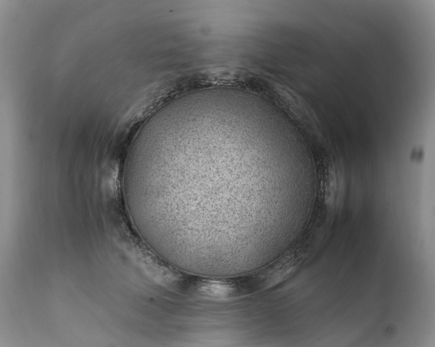 X0000111390610200907241335