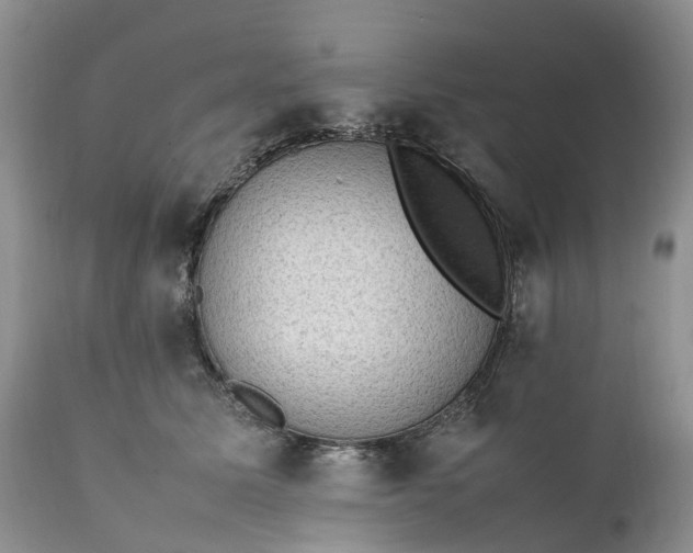 X0000111390611200907241335