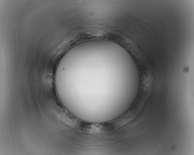 X0000111390612200907241335