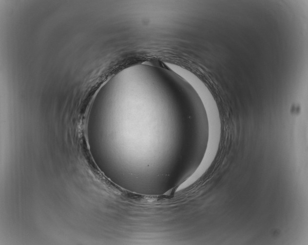 X0000111390613200907241335