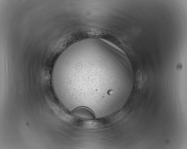 X0000111390614200907241335