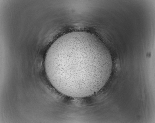 X0000111390615200907241335