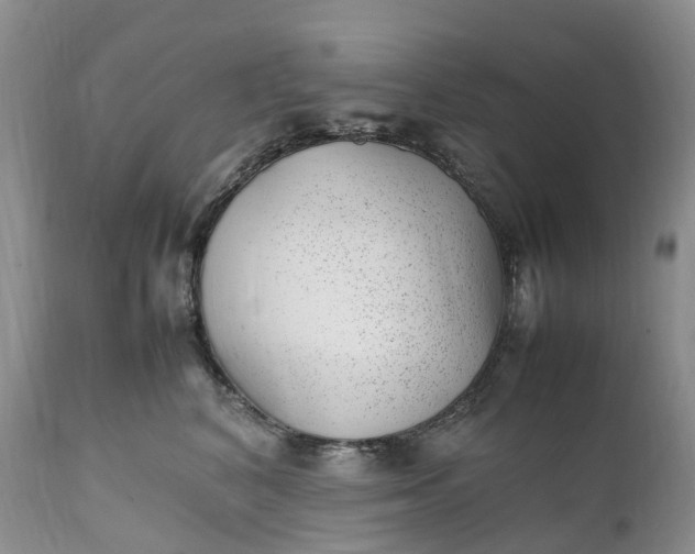 X0000111390616200907241335