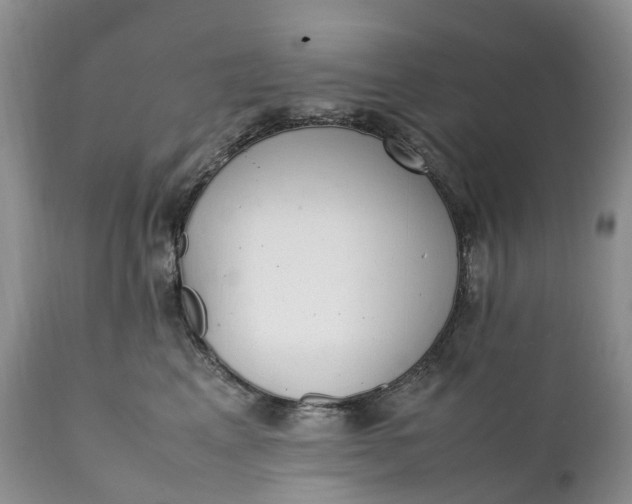 X0000111390617200907241335