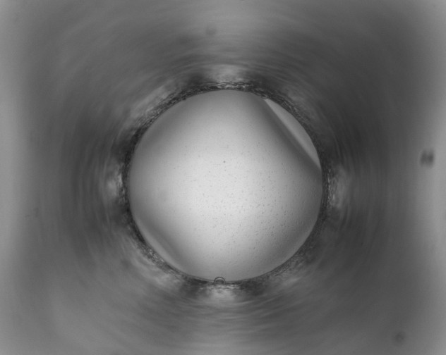 X0000111390618200907241335