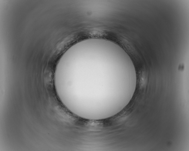 X0000111390619200907241335