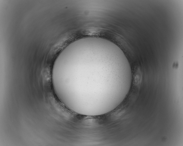 X0000111390620200907241335