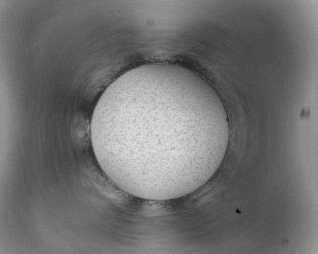 X0000111390624200907241335