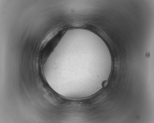 X0000111390626200907241334