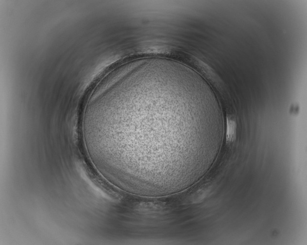 X0000111390627200907241334