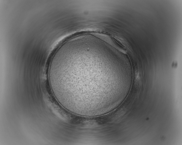 X0000111390628200907241334