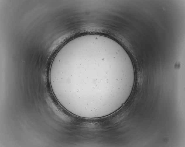 X0000111390629200907241334