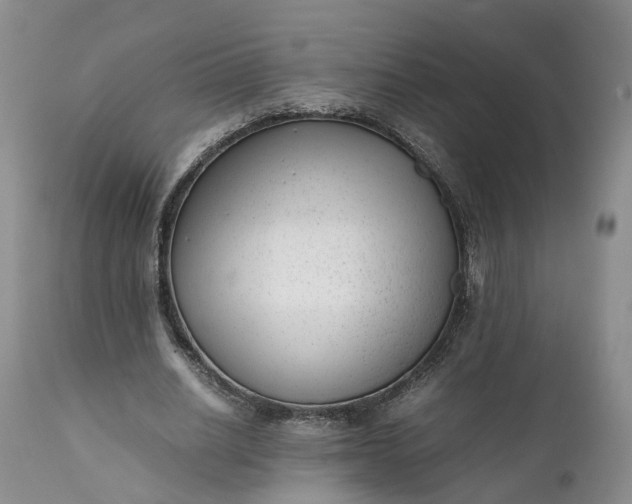 X0000111390630200907241334