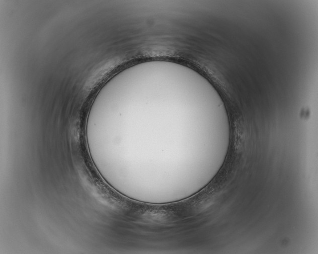 X0000111390631200907241334