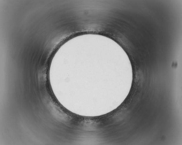 X0000111390632200907241334