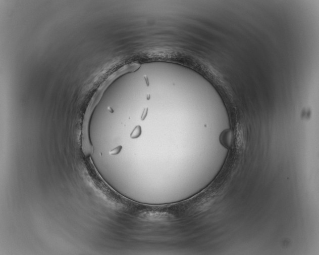 X0000111390637200907241334