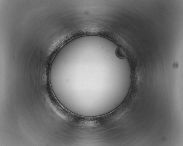 X0000111390638200907241334