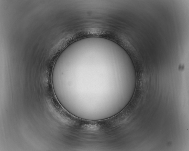 X0000111390639200907241334