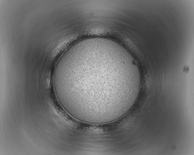 X0000111390640200907241334